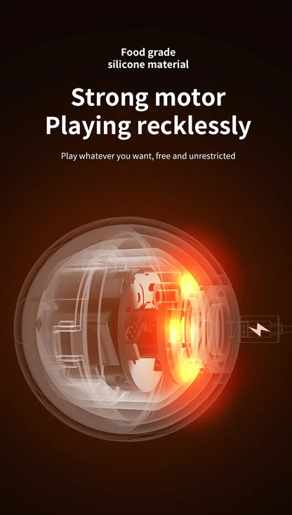 Pelota Inteligente para Mascotas