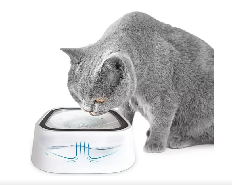 Bebedero Antiderrame para Mascotas