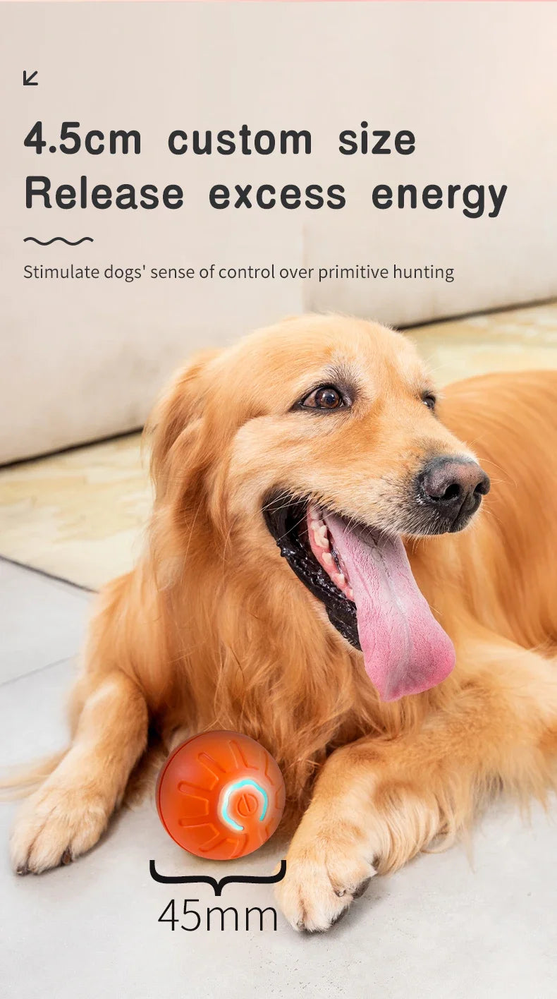 Pelota Inteligente para Mascotas